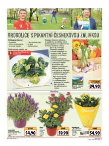 akční leták Kaufland 23.6.2016-29.6.2016