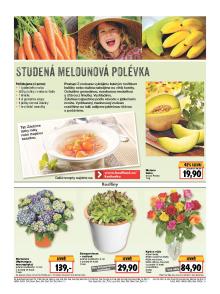 akční leták Kaufland 7.7.2016-13.7.2016