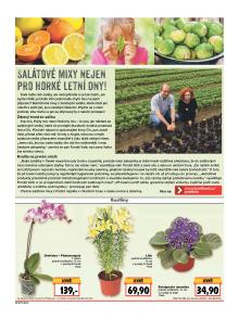 akční leták Kaufland 21.7.2016-27.7.2016