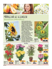akční leták Kaufland 4.8.2016-10.8.2016