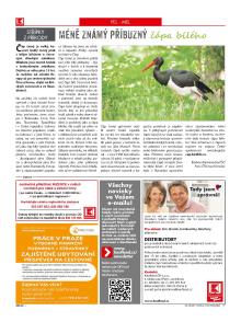 akční leták Kaufland 18.8.2016-24.8.2016