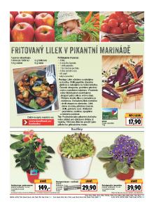 akční leták Kaufland 18.8.2016-24.8.2016