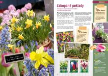 akční leták Hornbach 17.8.2016-30.11.2016