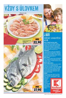 akční leták Kaufland 8.9.2016-14.9.2016