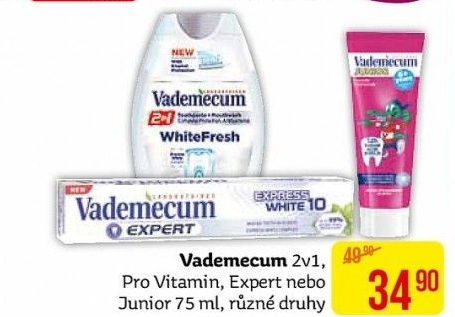 Pasty na zuby 2v1 Vademecum