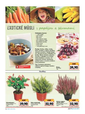 akční leták Kaufland 13.10.2016-19.10.2016