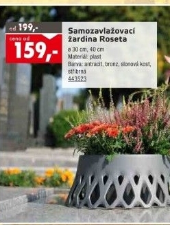 Samozavlažovací žardina Roseta