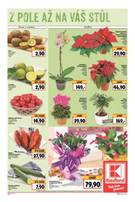 akční leták Kaufland 10.11.2016-16.11.2016