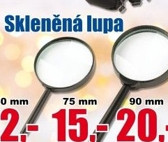 Lupa