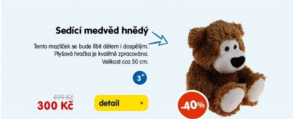 Sedící medvěd hnědý