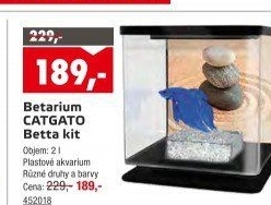 Betarium Betarium CAT-GATO