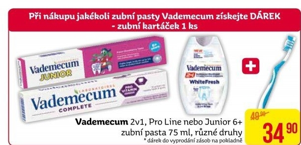 Pasty na zuby 2v1 Vademecum
