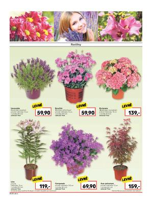 akční leták Kaufland 27.4.2017-3.5.2017
