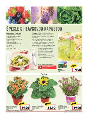 akční leták Kaufland 22.6.2017-28.6.2017