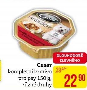 Paštika pro psy Cesar