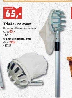 Česáček ovoce