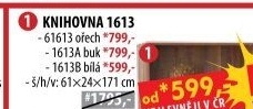 Knihovna 1613 buk