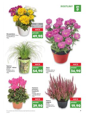 akční leták Kaufland 5.10.2017-11.10.2017