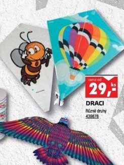 Létající drak Wiky
