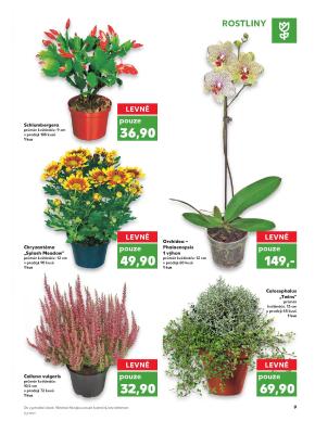 akční leták Kaufland 12.10.2017-18.10.2017