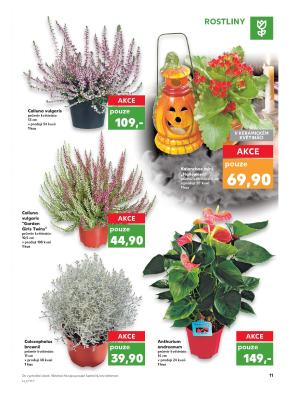 akční leták Kaufland 19.10.2017-25.10.2017