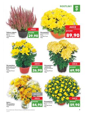 akční leták Kaufland 27.10.2017-2.11.2017