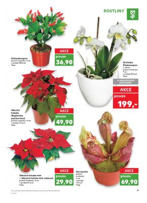 akční leták Kaufland 9.11.2017-15.11.2017