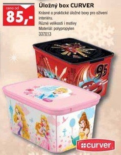 Úložný box s víkem Curver