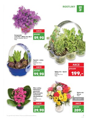 akční leták Kaufland 25.1.2018-31.1.2018