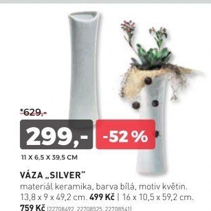 Váza
