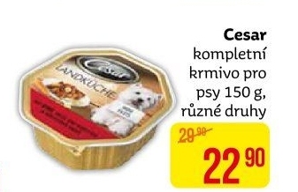 Paštika pro psy Cesar