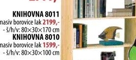Knihovna 8011 lakovaná