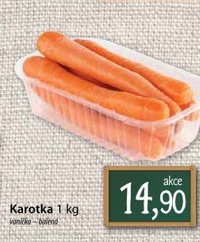 Karotka