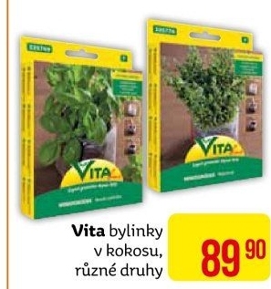 Osivo v kokosovém vláknu Vita
