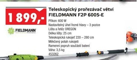 Teleskopický prořezávač FZP 6005-E Fieldmann
