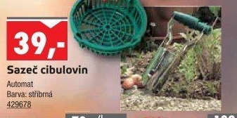 Sazeč cibulovin