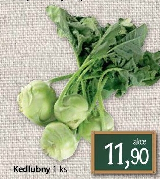 Kedlubna bílá