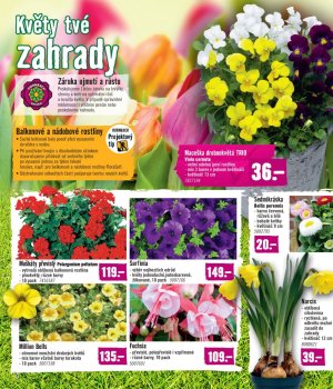 akční leták Hornbach 28.2.2018-27.3.2018