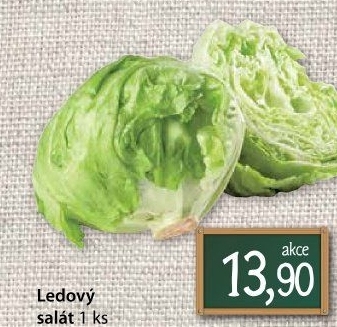 Salát ledový