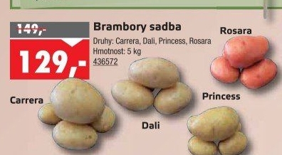 Sadbové brambory