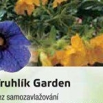Milion bellis