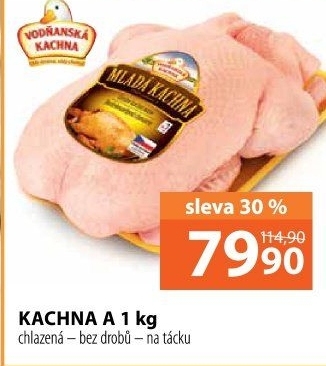 Kachna Vodňanská kachna