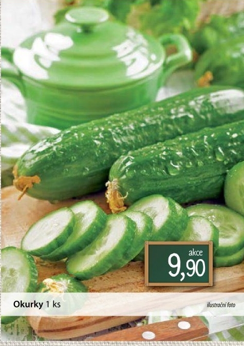 Okurka hadovka
