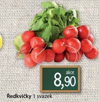 Ředkvičky svazek