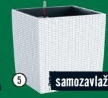 Květináč Lechuza