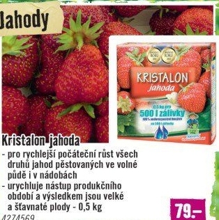 Hnojivo Kristalon na jahody