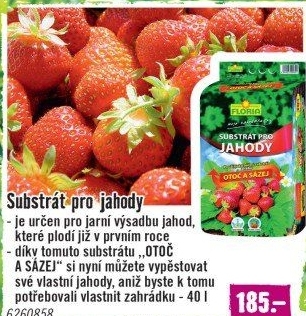 Substrát pro jahody Otoč a sázej Floria
