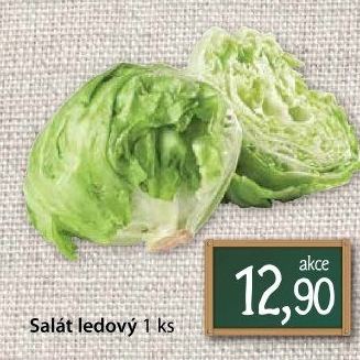 Salát ledový