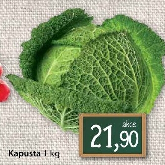 Kapusta hlávková