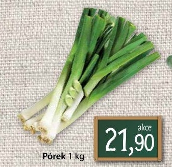 Pórek